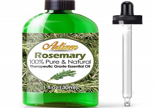Rosemary Best Essential Oils for Dry Hair Ends